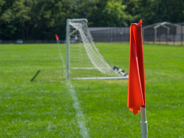 球队的整体 球队的整体