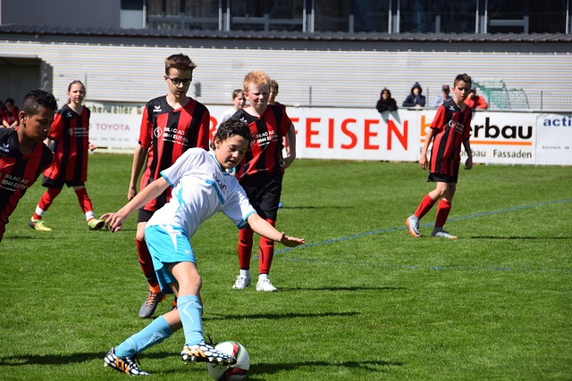 不仅说明中 不仅说明中