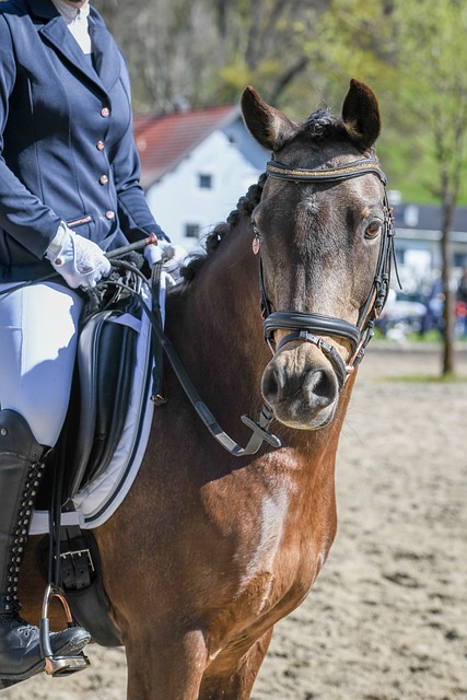 性和靈活性 性和靈活性