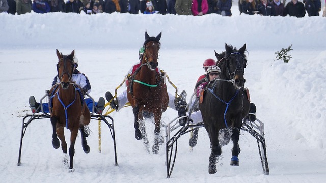 支球队在逆 支球队在逆
