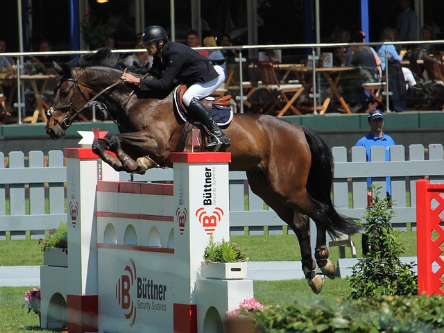 东城梦魇 东城梦魇