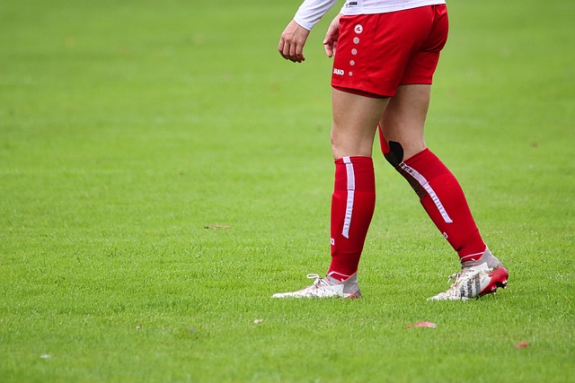 結合不同的 結合不同的