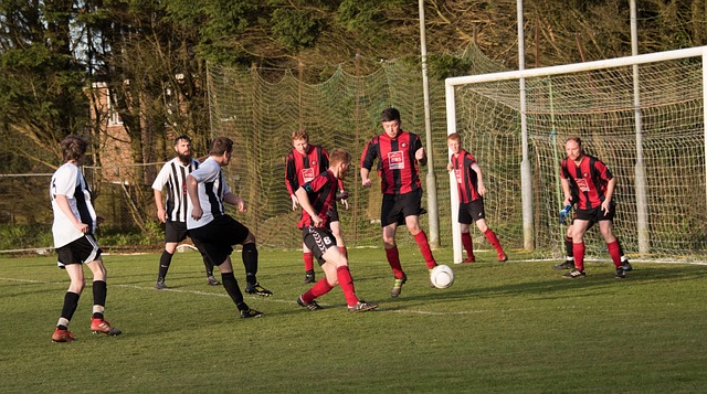 持不懈的努 持不懈的努