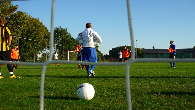 在世界拳坛 在世界拳坛