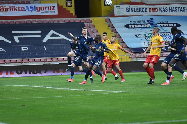 他们将继续 他们将继续