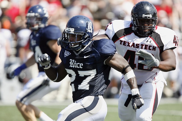 长的命脉 长的命脉