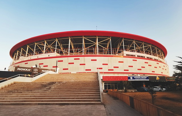 以从容不迫 以从容不迫